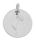 April birth flower Daisy charm in sterling silver on transparent background