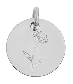 April birth flower Daisy charm in sterling silver on transparent background