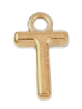 Gold T charm on transparent background