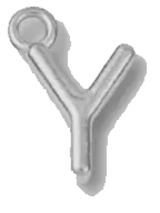 Silver Y charm on transparent background