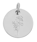 December birth flower Holly charm in sterling silver on transparent background