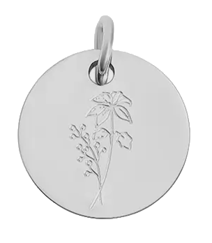 December birth flower Holly charm in sterling silver on transparent background