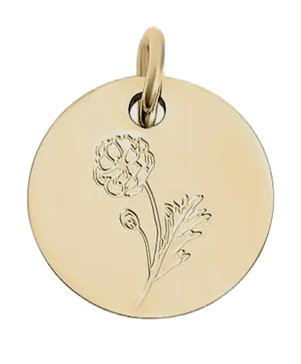 December birth flower Holly charm in gold on transparent background