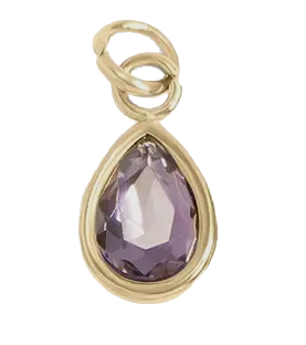 February birthstone Amethyst charm in gold on transparent background