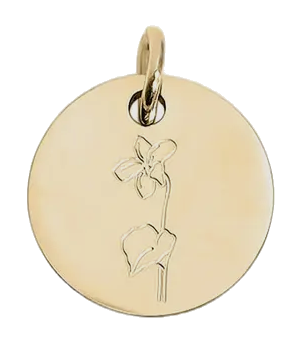 February birth flower Violet charm in gold on transparent background