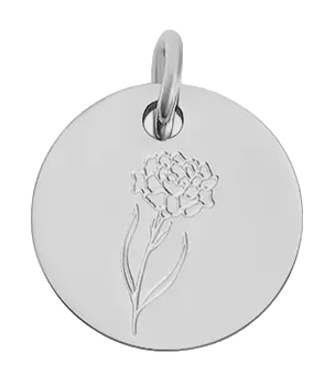 January birth flower Carnation charm in sterling silver on transparent background