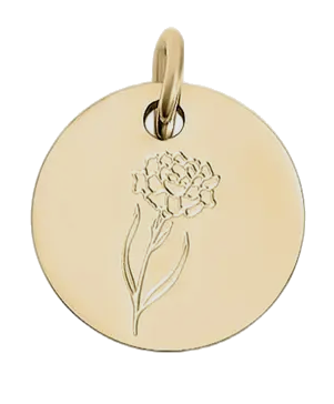 January birth flower Carnation charm in gold on transparent background
