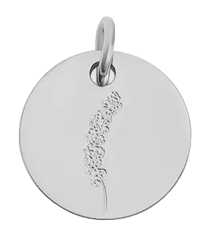 July birth flower Larkspur charm in sterling silver on transparent background