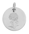 September birth flower Aster charm in sterling silver on transparent background