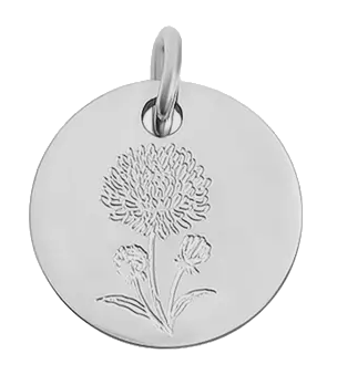 September birth flower Aster charm in sterling silver on transparent background