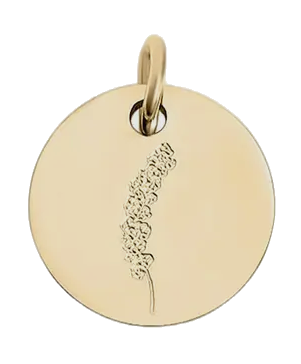 September birth flower Aster charm in gold on transparent background