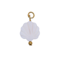 White Shell charm on transparent background