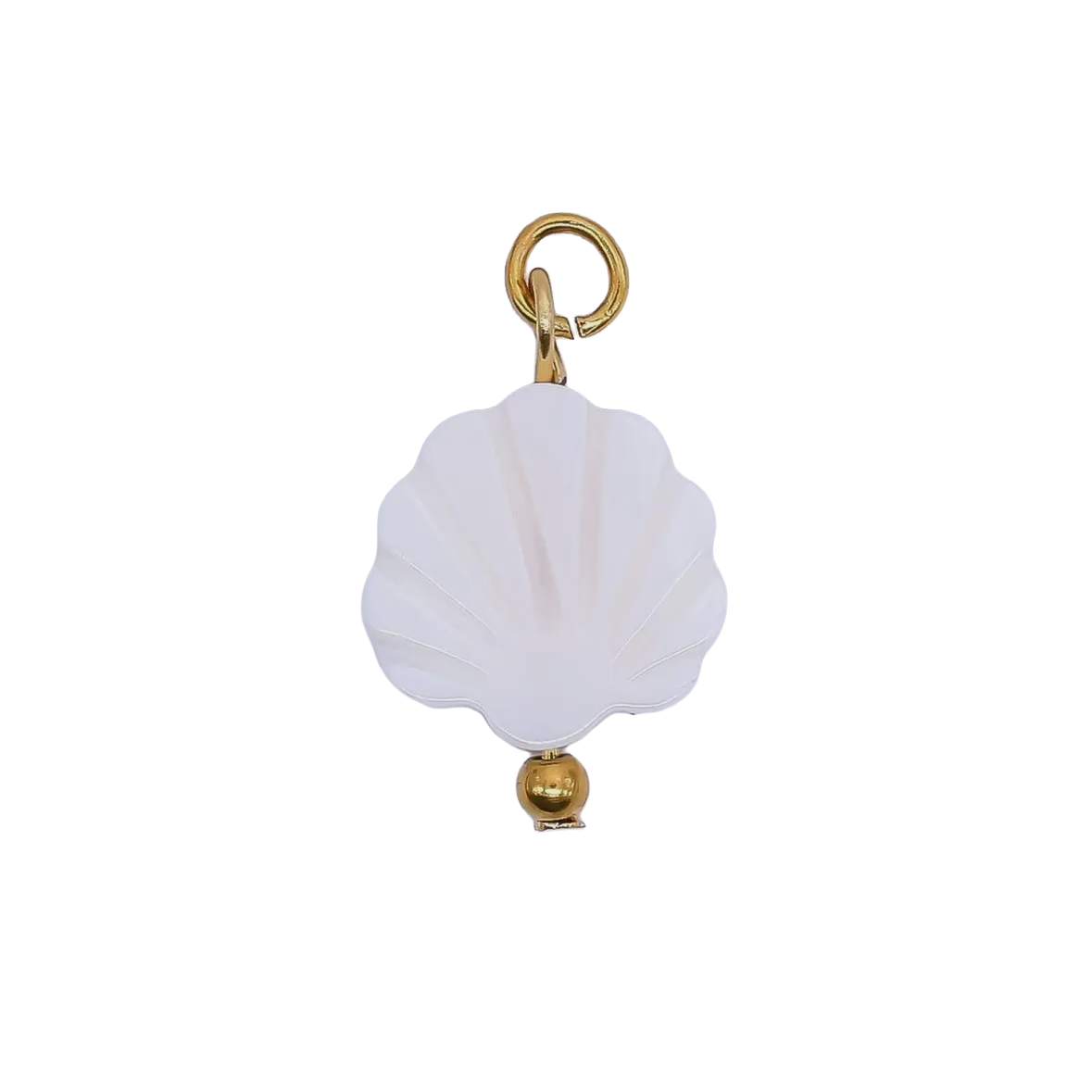 White Shell charm on transparent background