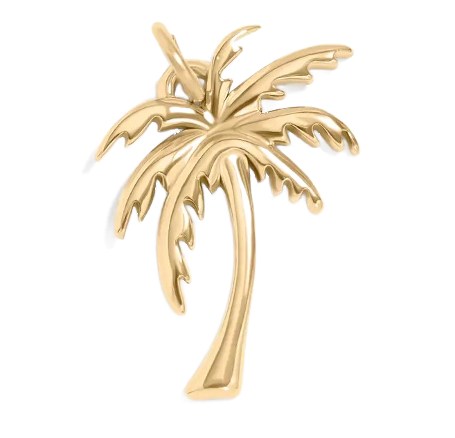 Gold Cactus charm on transparent background