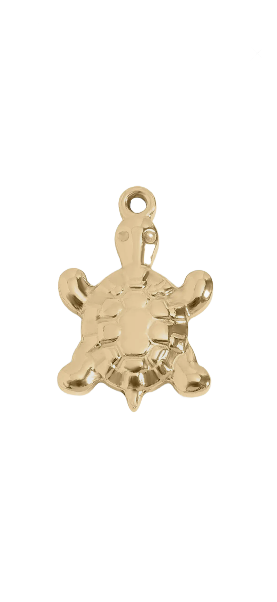 Gold Turtle charm on transparent background