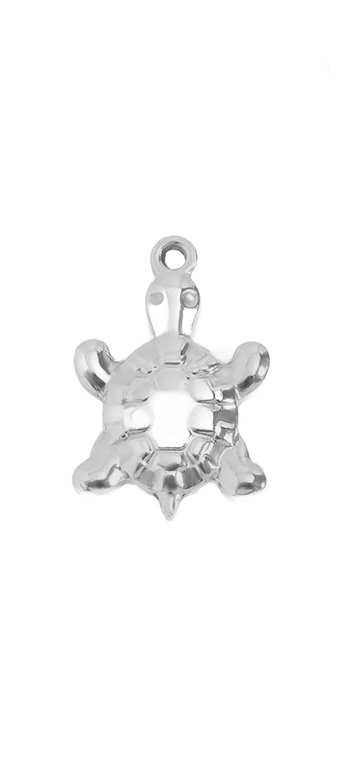 Silver Turtle charm on transparent background