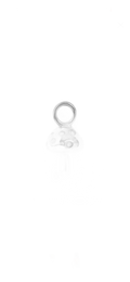 charm-background-removed copy 30 on transparent background