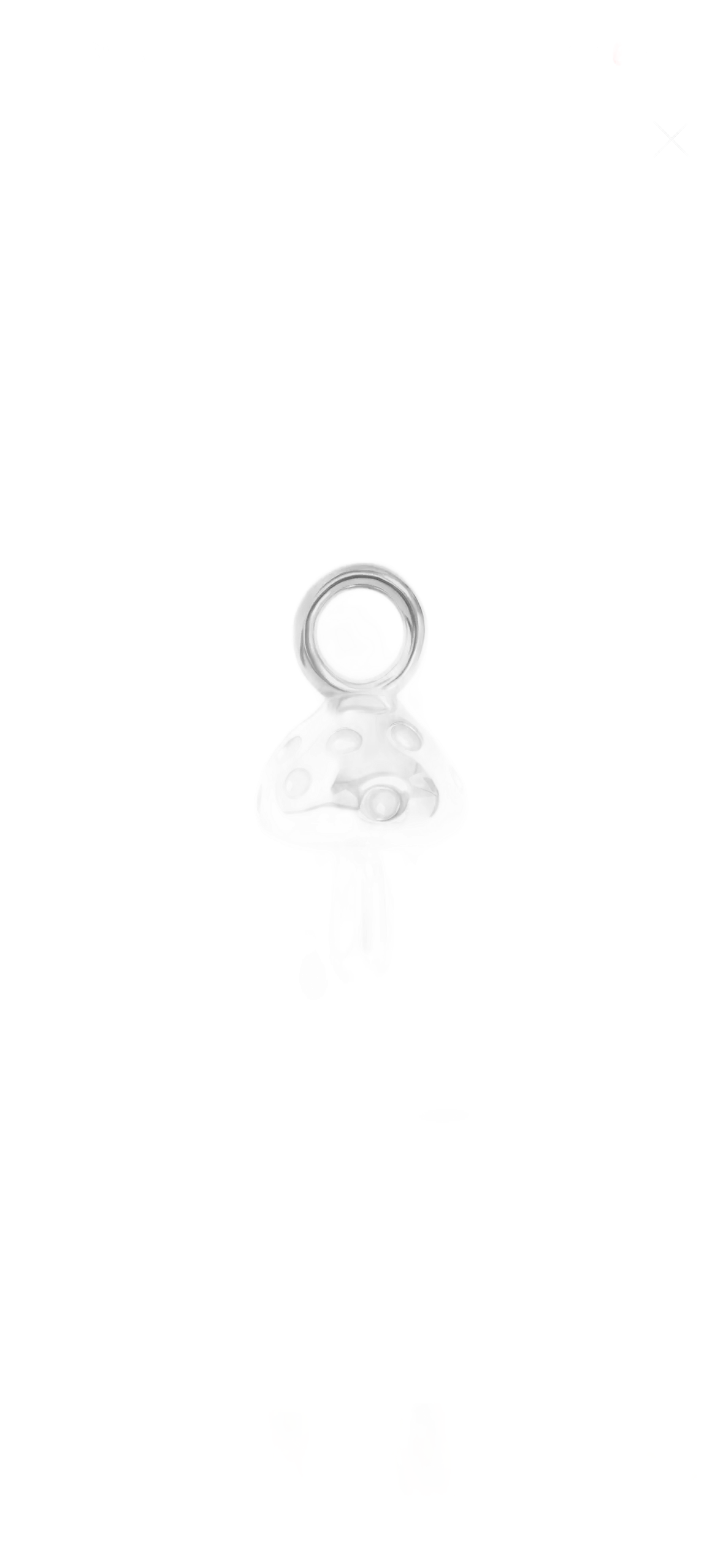 charm-background-removed copy 30 on transparent background