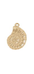 Gold Shell charm on transparent background