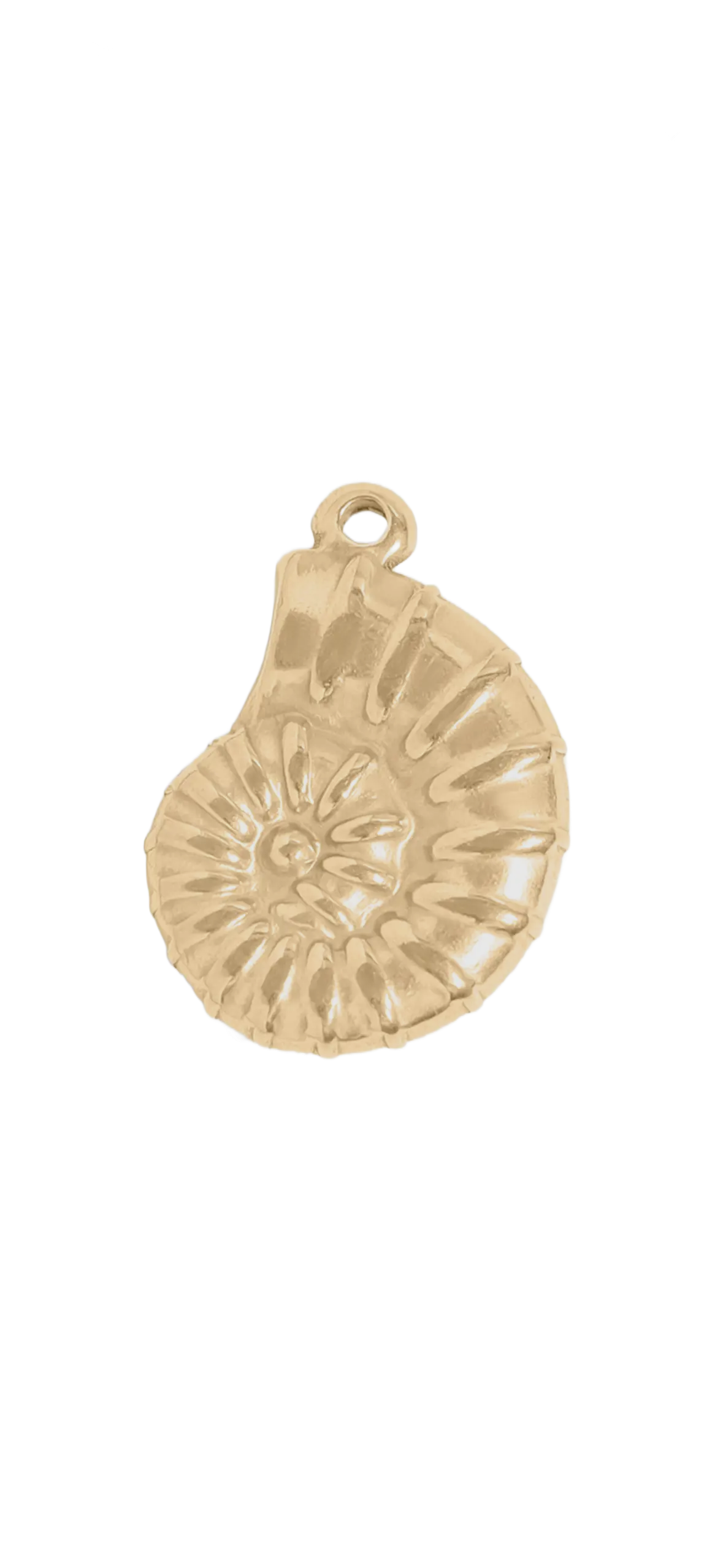 Gold Shell charm on transparent background