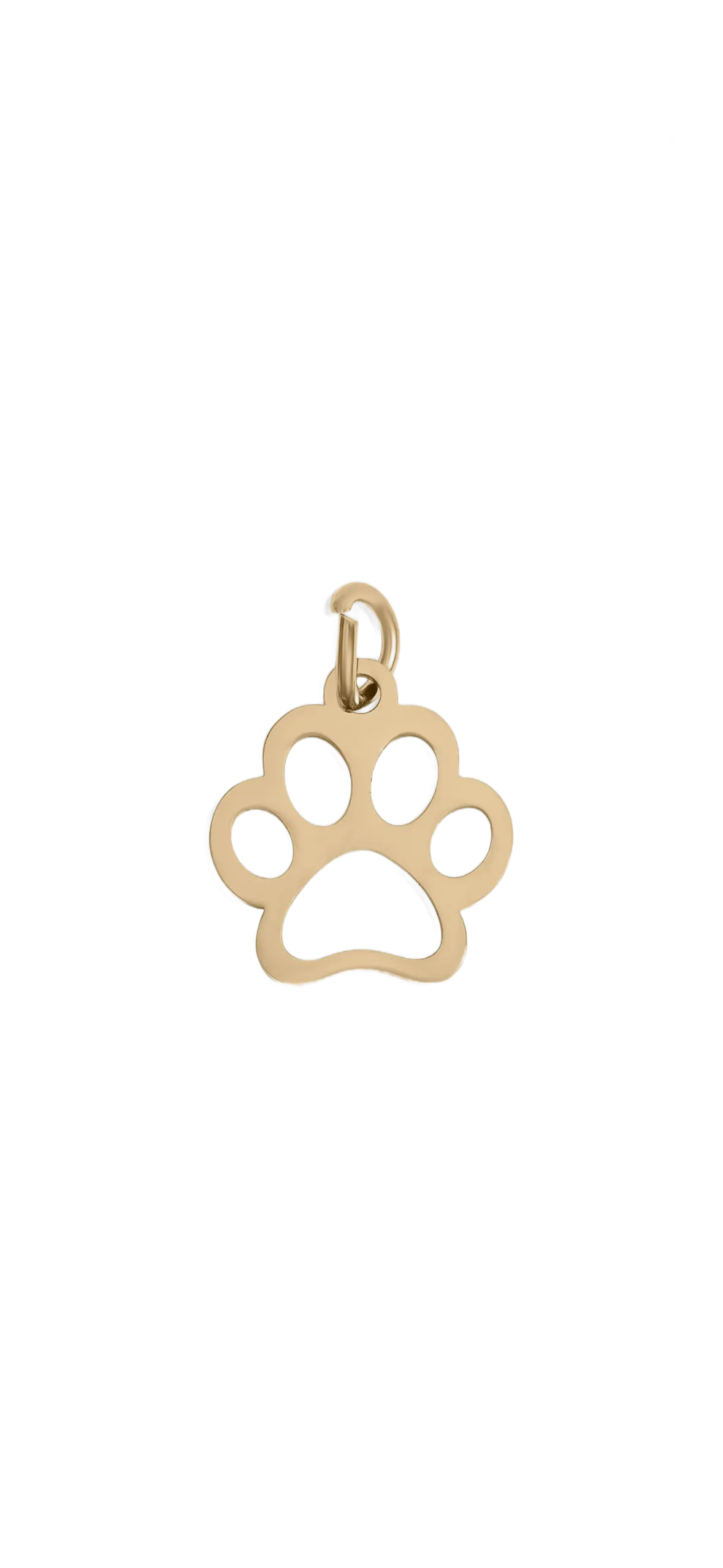 Gold Pawprint charm on transparent background