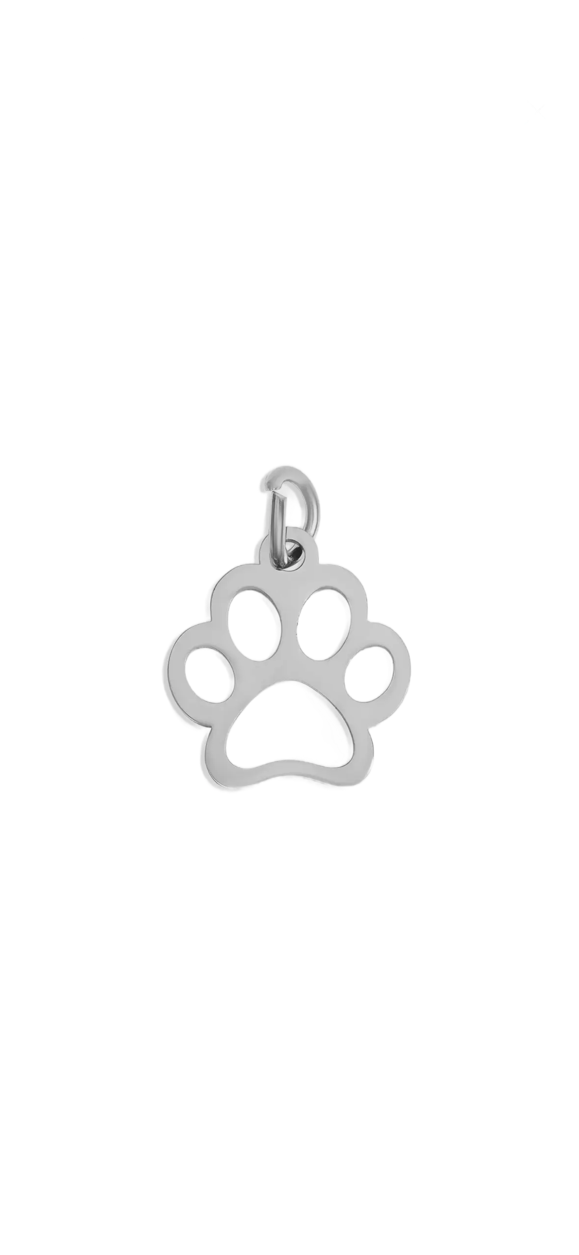 Silver Paw Print charm on transparent background