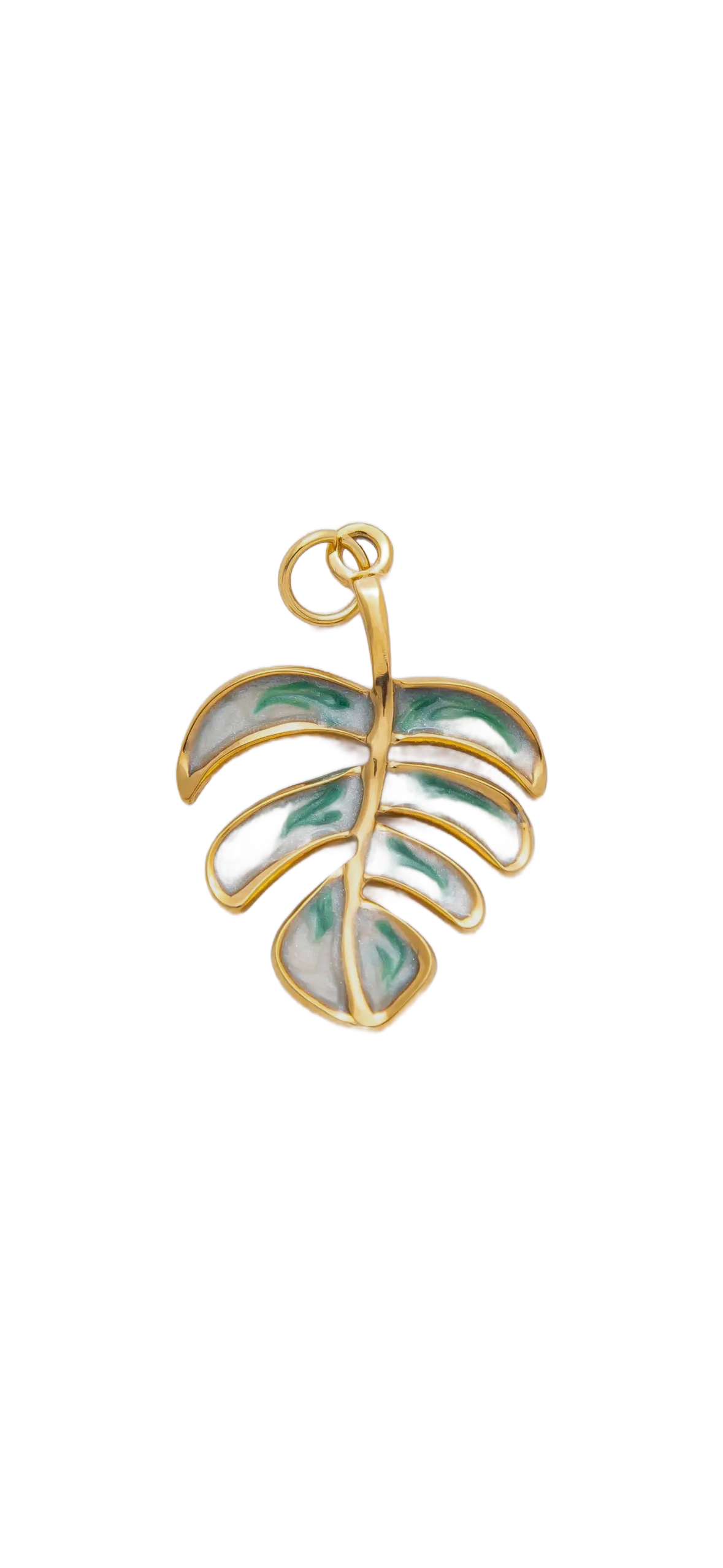 Monstera Leaf charm on transparent background