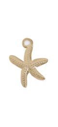 Gold Star Fish charm on transparent background