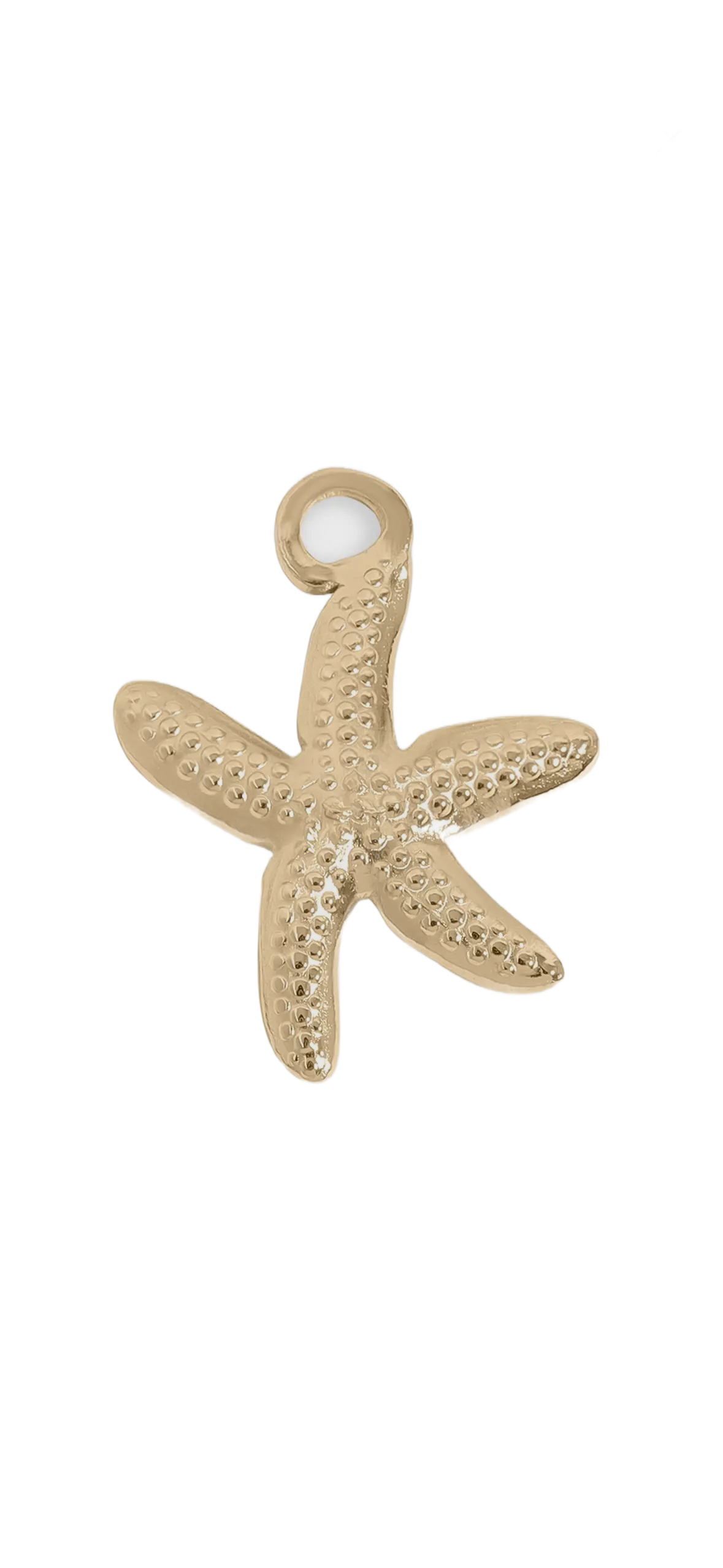 Gold Star Fish charm on transparent background