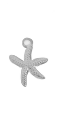 Silver Starfish charm on transparent background