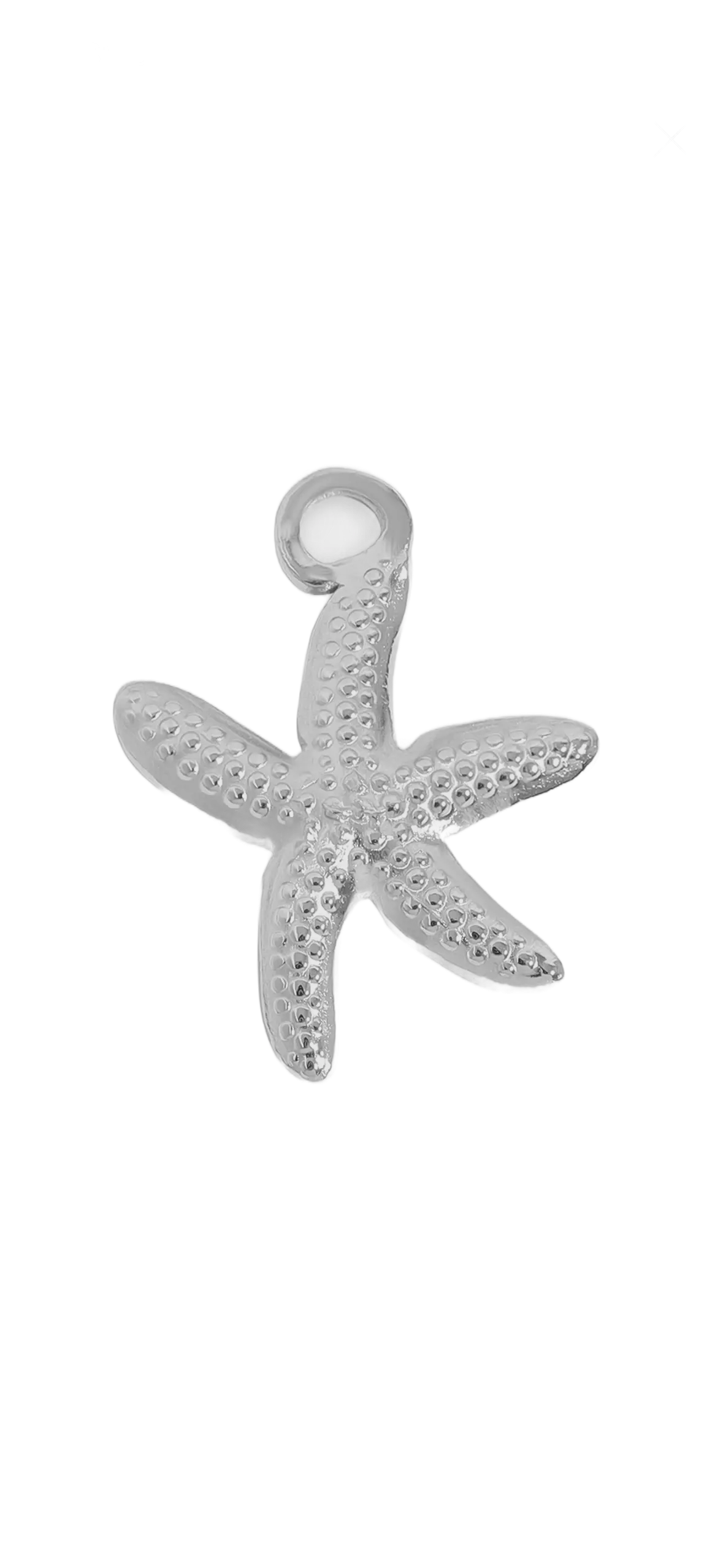 Silver Starfish charm on transparent background