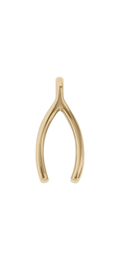 Gold Wish Bone charm on transparent background