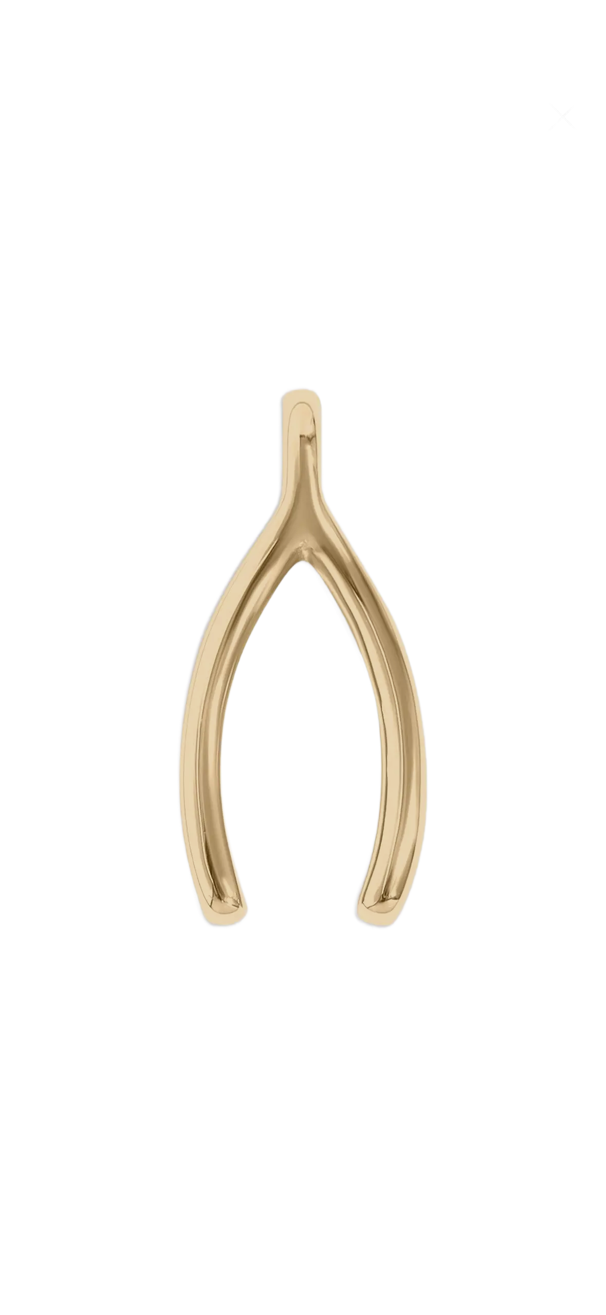 Gold Wish Bone charm on transparent background