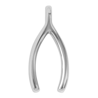 Silver Wish Bone