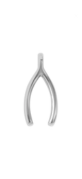 Silver Wish Bone charm on transparent background