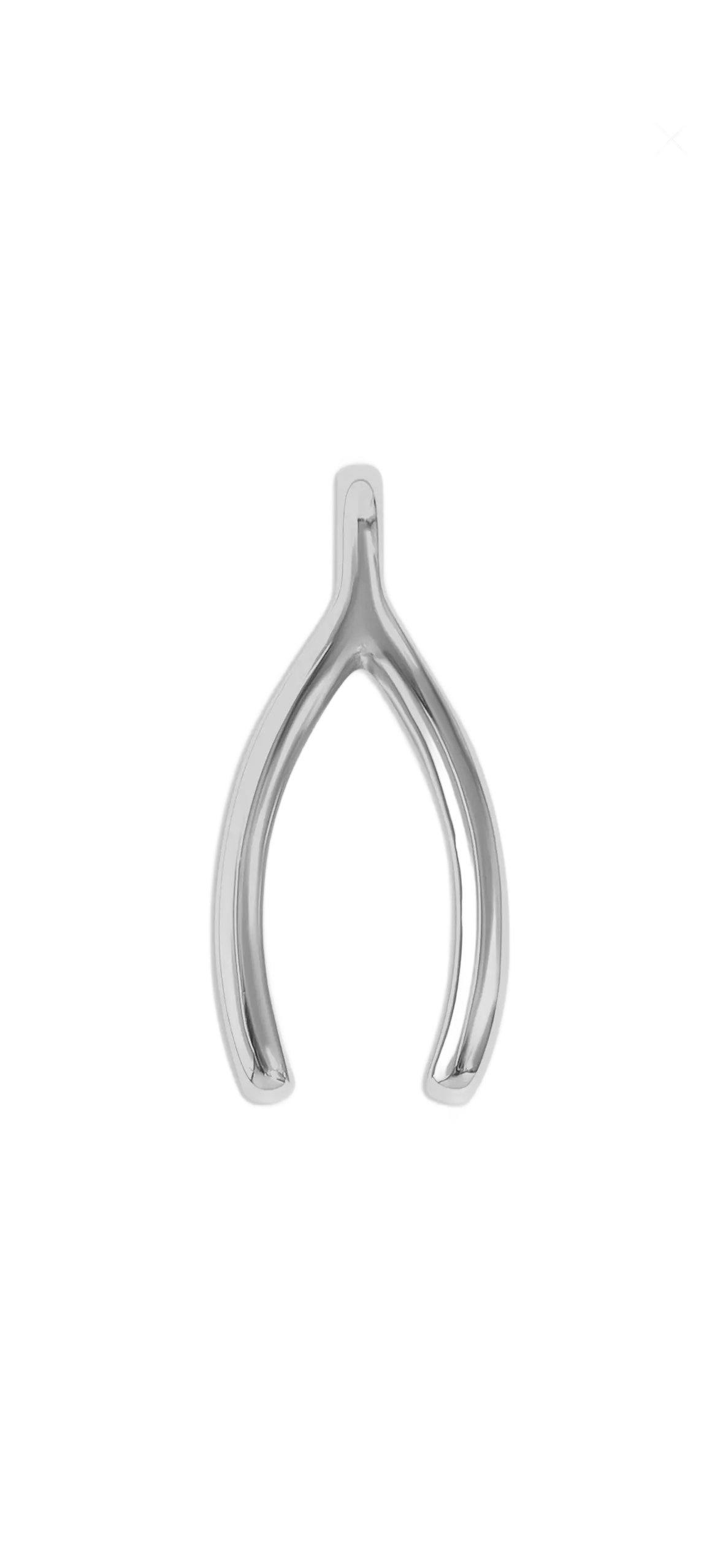 Silver Wish Bone charm on transparent background