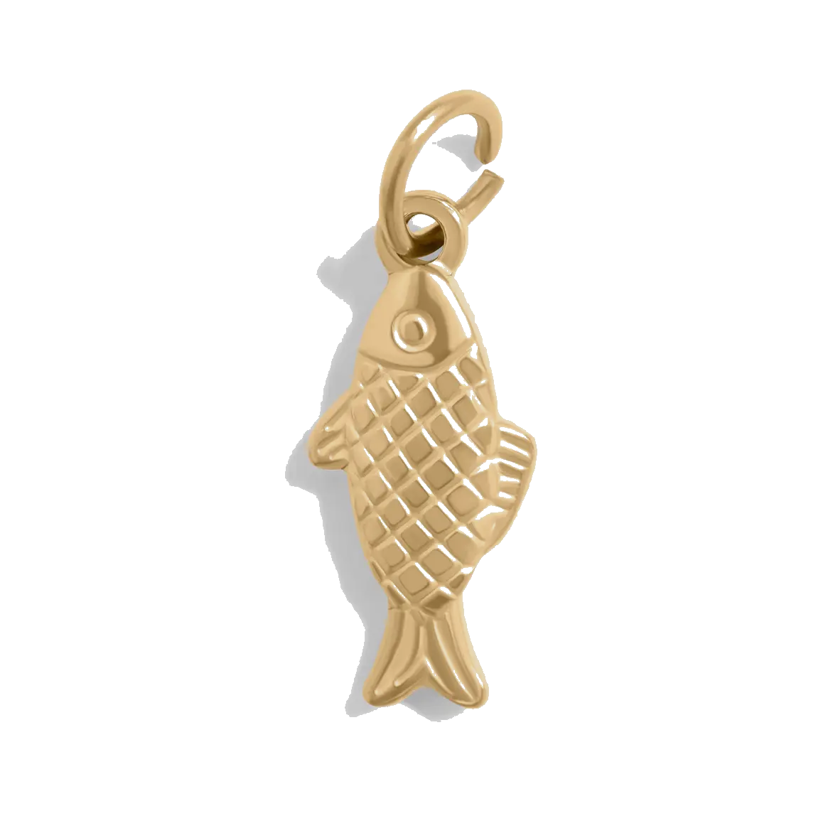 Fish charm on transparent background