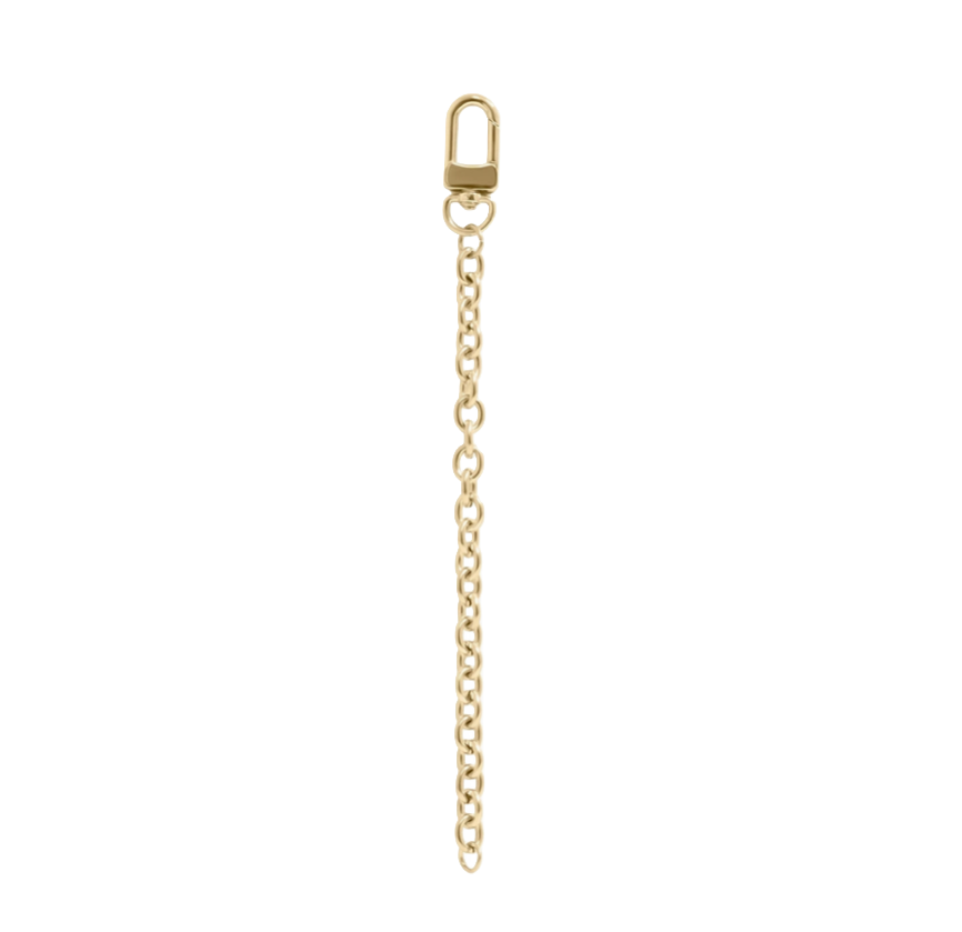 Gold Keychain on white background