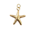 Gold Starfish charm on transparent background