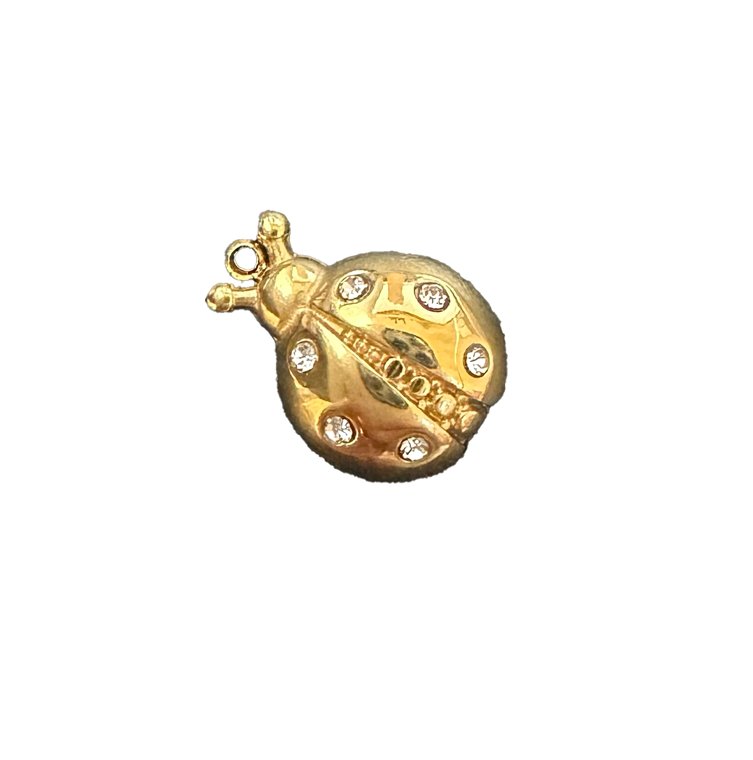 Ladybug charm on transparent background