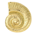 Oceanic Conch charm on transparent background