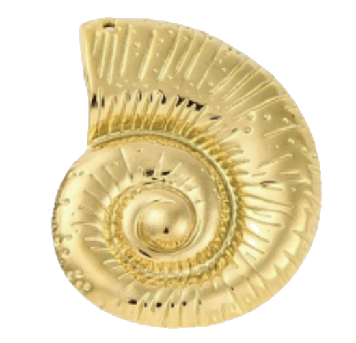 Oceanic Conch charm on transparent background
