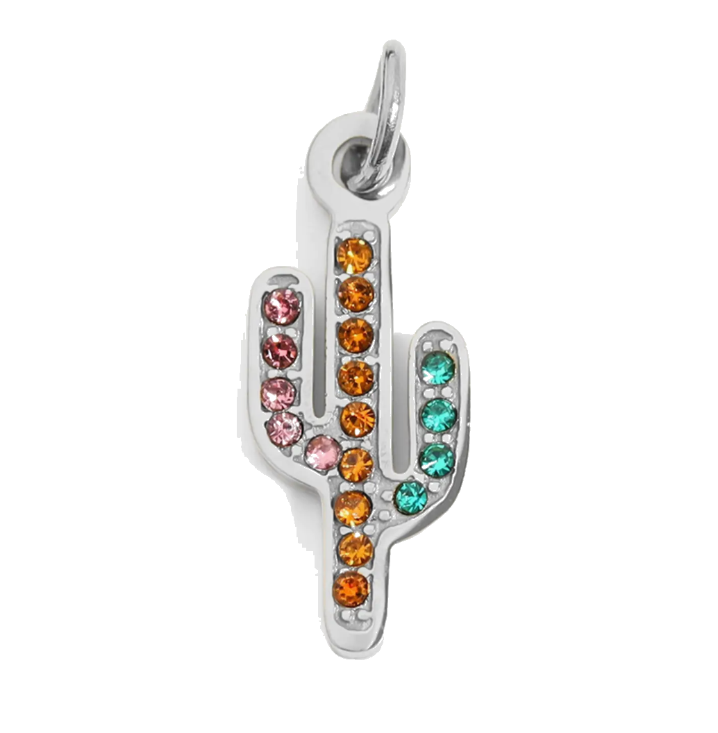 Silver Cactus charm on transparent background