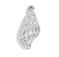 Silver Conch Shell charm on transparent background