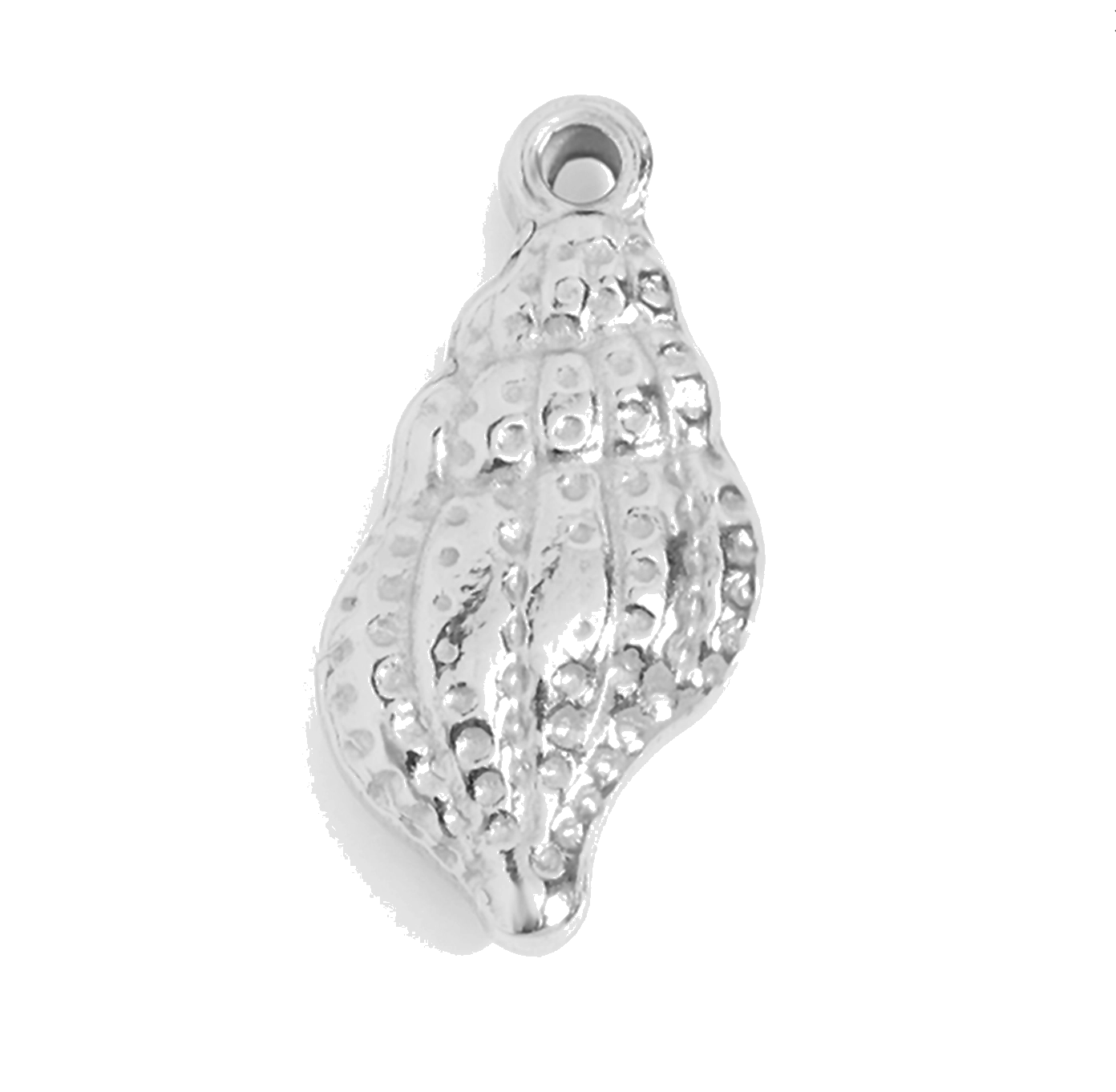 Silver Conch Shell charm on transparent background