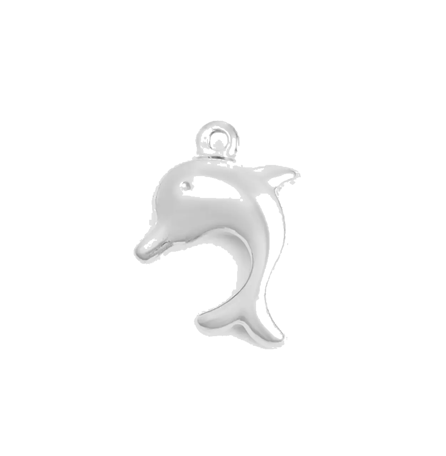 Silver Dolphin charm on transparent background