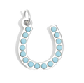 Silver Horseshoe charm on transparent background