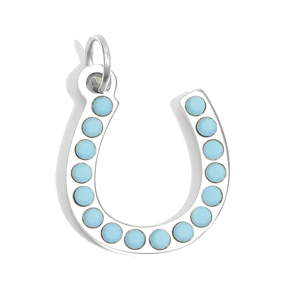 Silver Horseshoe charm on transparent background