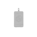 Silver Passport charm on transparent background