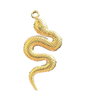 Snake charm on transparent background